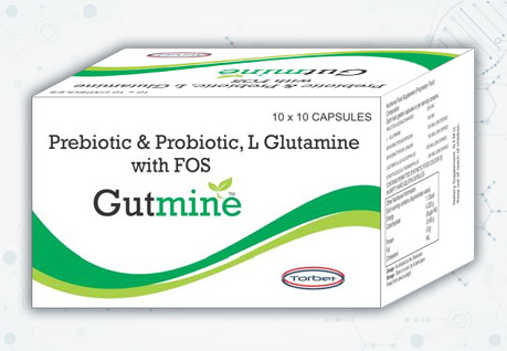 Gutmine